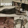 BOBBY