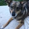 Lilly - Mensch mit Geduld gesucht