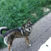 Lilly - Mensch mit Geduld gesucht
