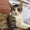 Chiara - Prinzessin Rosanase sucht Kuschelplatz