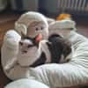Margo - liebevolle, neugierige Katzendame sucht Zuhause