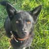 Onyx, so ein Charmeur