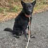 Onyx, so ein Charmeur