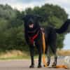 Onyx, so ein Charmeur