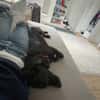 AMY SUCHT EIN NEUES ZUHAUSE!
