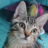 MANGO A TROUVE SA FAMILLE