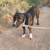 THOR (Hogar de paz)