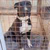 THOR (Hogar de paz)