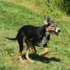 Maddie - kleine Zaubermaus sucht ihr Glück