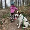 Jampa - junger, intelligenter Hund sucht erfahrene Menschen
