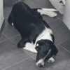 BROUKY
