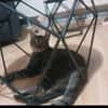 Artie 1 jahr such zuhause mit ruhe und geduld