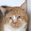 Bob
