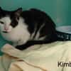 KIMBA