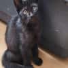SALEM