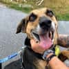 MOLLY - interessiert und verschmust