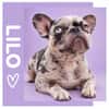 Lilo