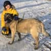 Gena - ein Herz aus Gold wartet hinter dem Tierheimgitter.