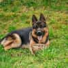 Aktiver, sportlicher Hero sucht Familie
