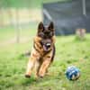 Aktiver, sportlicher Hero sucht Familie