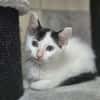 Neo, Balu, Sammy, Mechthild