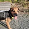 MOLLY - interessiert und verschmust