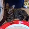 BILLY