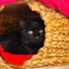 NOUGATI en SOS