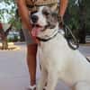 DUDLEY (Martina)