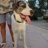 DUDLEY (Martina)