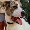DUDLEY (Martina)