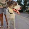 DUDLEY (Martina)