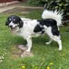 Hermes - Wirbelwind sucht Landeplatz