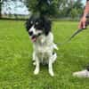 Hermes - Wirbelwind sucht Landeplatz