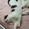 Bonny & Clyde tolles Duo
