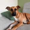 Soziale GINA liebt die Menschen ♥PLZ 64807