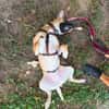 Soziale GINA liebt die Menschen ♥PLZ 64807