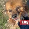 Elly sucht dringend ihre eigene Familie