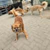 Elly sucht dringend ihre eigene Familie