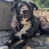 Kalle sucht sein Happyend
