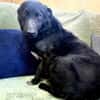 Ozzy möchte endlich gesehen werden