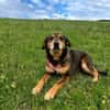 Best-Ager Fay sucht ihre Menschen
