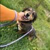 Best-Ager Fay sucht ihre Menschen