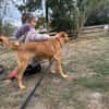sanfte Hazel sucht ihre Familie
