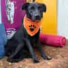 Oliver - stiller Schatten sucht Dich