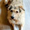 Freundliche Mia sucht Ihre Familie