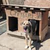 Phoebe - sensible Seele sucht Halt