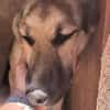 Phoebe - sensible Seele sucht Halt