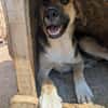 Phoebe - sensible Seele sucht Halt