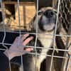 Phoebe - sensible Seele sucht Halt